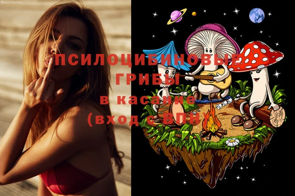 Альфа ПВП Надым