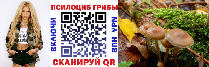 Псилоцибиновые грибы MAGIC MUSHROOMS  Белоозёрский 